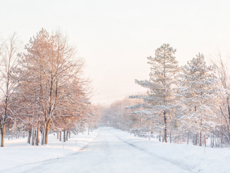 Radisson — With little traffic, on a below-zero morning, a stop in the middle of the road captured the soft, muffled feel of the snow-filled, frigid air. Courtesy of Everet Regal.