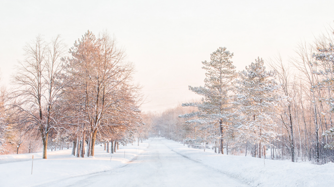Everet-Regal-2053 Radisson — With little traffic, on a below-zero morning, a stop in the middle of the road captured the soft, muffled feel of the snow-filled, frigid air. Courtesy of Everet Regal.