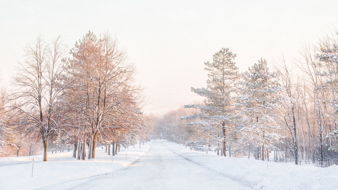 Radisson — With little traffic, on a below-zero morning, a stop in the middle of the road captured the soft, muffled feel of the snow-filled, frigid air. Courtesy of Everet Regal.