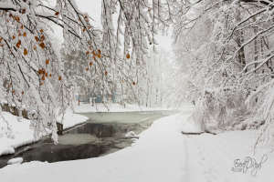 Oberon Lake, Radisson — After a fresh snowfall, scenes can often appear almost black and white. Finding a touch of color can bring depth and separation to the composition. Courtesy of Everet Regal.