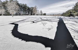 Battle Island State Park, Fulton — Using strong shadows against white snow can create a strong composition where one may not otherwise exist. Courtesy of Everet Regal.