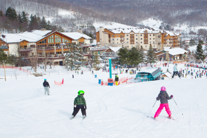 Holiday Valley in Ellicottville provides guests with all the winter sports, plus its famed mountain coaster.