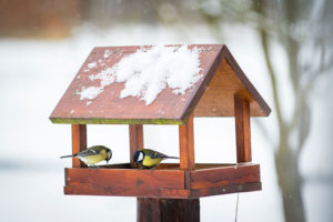 An act as simple as maintaining a birdfeeder can get you outside.